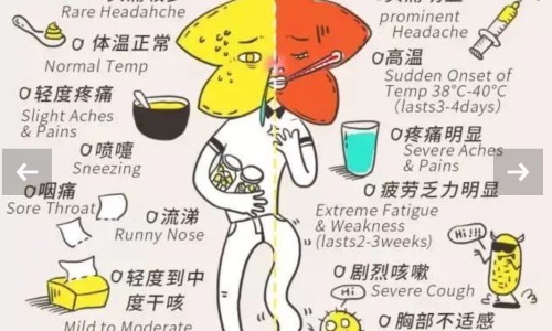 怎样才能让身上不长毛-夏季如何避免身上油腻粘糊糊-怎么让身上皮肤紧致不松弛,中国怎样使身上不粘网站