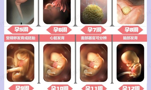 怎样才能让身上不长毛-夏季如何避免身上油腻粘糊糊-怎么让身上皮肤紧致不松弛,中国怎样使身上不粘网站